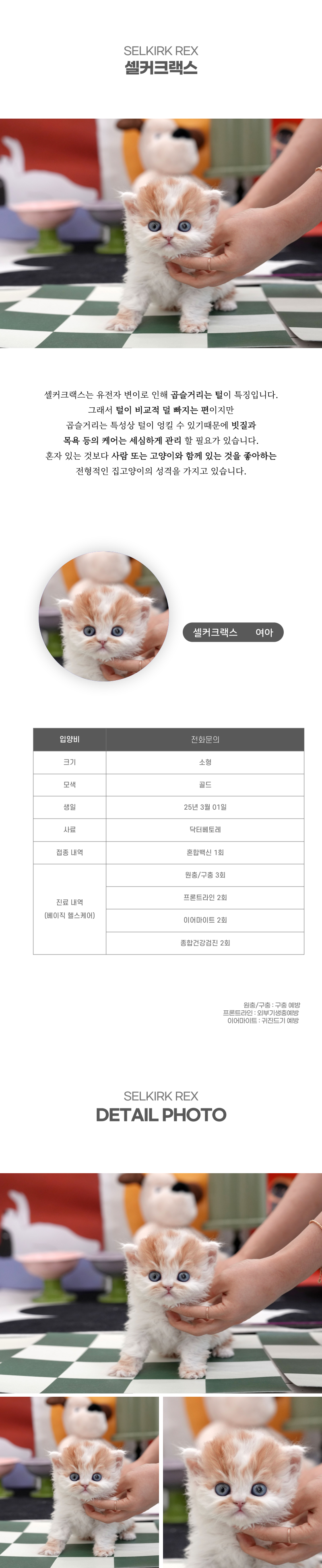 셀커크랙스_상세이미지_2